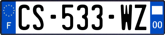 CS-533-WZ