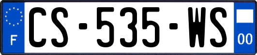 CS-535-WS