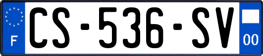 CS-536-SV