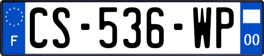 CS-536-WP