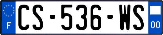 CS-536-WS