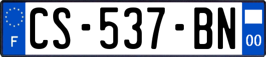 CS-537-BN