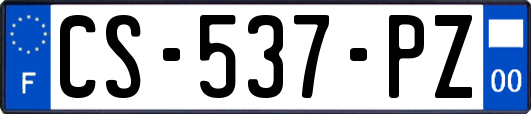 CS-537-PZ