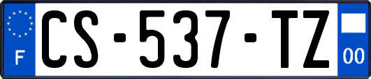 CS-537-TZ