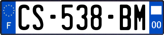 CS-538-BM