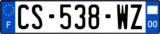 CS-538-WZ