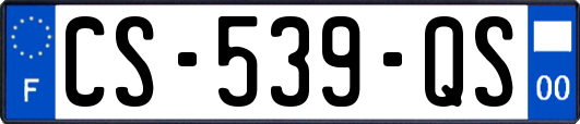 CS-539-QS