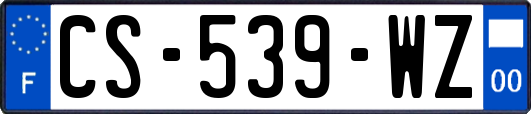 CS-539-WZ