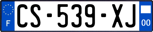 CS-539-XJ