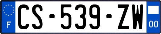 CS-539-ZW