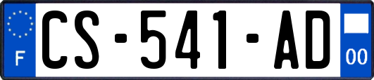 CS-541-AD