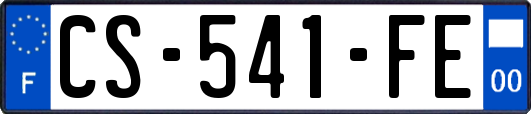 CS-541-FE