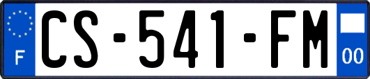 CS-541-FM