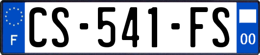 CS-541-FS