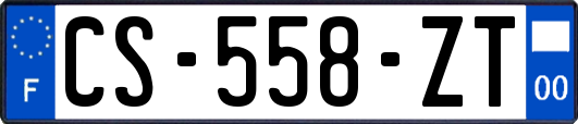 CS-558-ZT