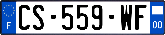 CS-559-WF