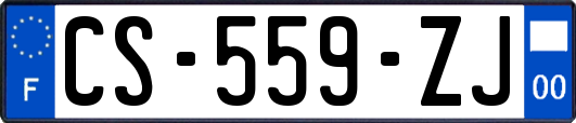 CS-559-ZJ