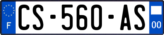 CS-560-AS