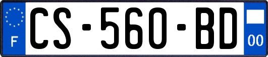 CS-560-BD