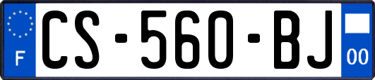 CS-560-BJ