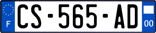 CS-565-AD