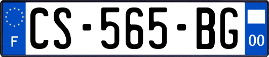 CS-565-BG
