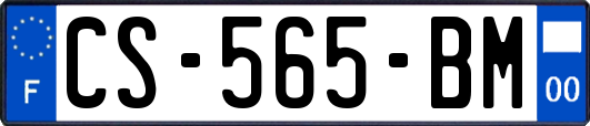 CS-565-BM