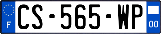 CS-565-WP