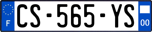 CS-565-YS