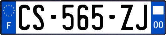 CS-565-ZJ