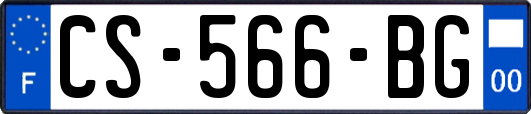 CS-566-BG