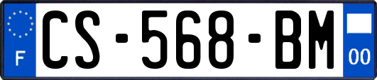 CS-568-BM