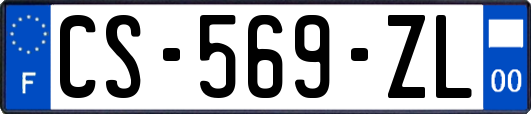 CS-569-ZL