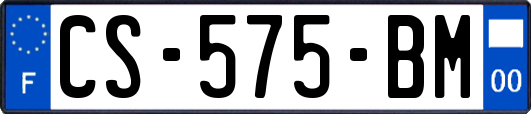 CS-575-BM