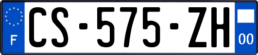 CS-575-ZH