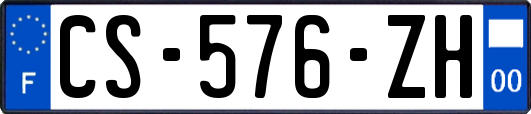 CS-576-ZH