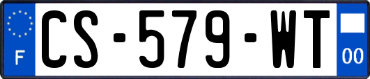 CS-579-WT