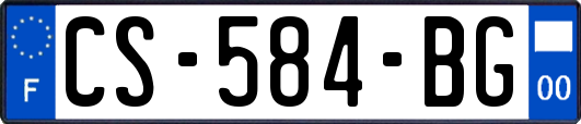 CS-584-BG