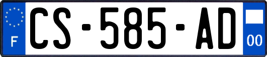 CS-585-AD