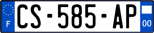 CS-585-AP