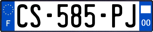 CS-585-PJ