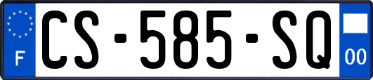 CS-585-SQ
