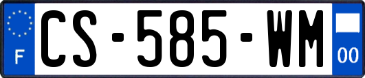 CS-585-WM