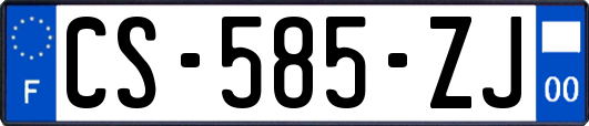 CS-585-ZJ