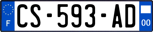 CS-593-AD