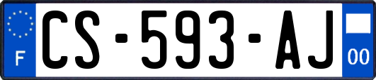 CS-593-AJ