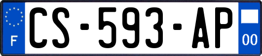 CS-593-AP