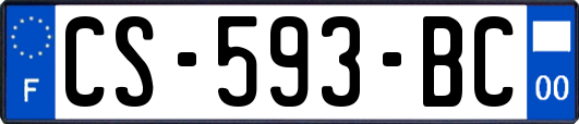 CS-593-BC