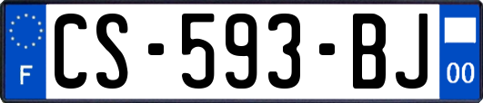 CS-593-BJ