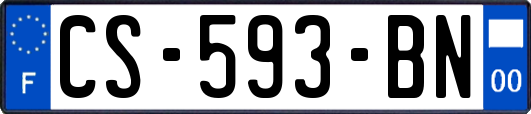 CS-593-BN